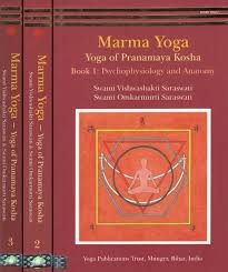 marma yoga yoga of pranamaya kosha