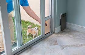 Doggy Doors Can I Just Get A Hole Put