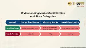 mid cap stocks unlocking growth
