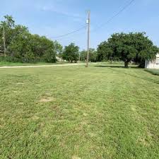 We provide the benefit of having hundreds of lawn pros on our platform to choose from, each with different skills and experience, and all local to san antonio. Lawn Service Live Oak Tx Lawn Care Lawn Mowing