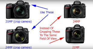 crop camera vs cropping full frame