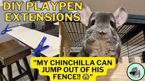 his playpen diy fence extensions
