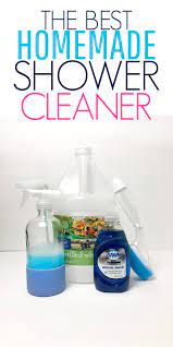 Homemade Shower Cleaner Organization