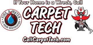 carpet cleaning in canyon tx