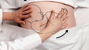 Maybe you would like to learn more about one of these? Transverse Baby Position In Pregnancy