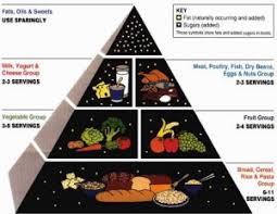 U S Retires The Food Pyramid Introduces Simpler Myplate