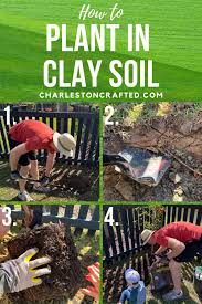 How To Plant In Clay Soil