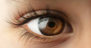 A cure for Eye problems Images?q=tbn:ANd9GcRrEJSDHsqV5Hs6EL2Md7GIsqm3YUtBcqctQZhmPa64C8Vm15NJVg