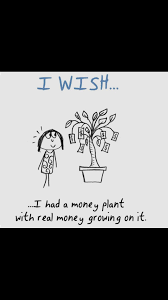 You either make it or you. Money Plant Joke