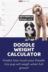 puppy growth chart for doodles and