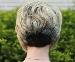 While the voluminous long hair at the top is styled to give an edgy appearance, the sides are made short to highlight a more textured variety of the pompadour hair style. Sexy Short Hairstyles For Women Haircuts For Men Short Pixie Haircuts Front And Back View 15 Short Hair Back View Gallery Back View