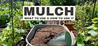 mulching your garden what to use how