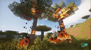 fire in minecraft what you should
