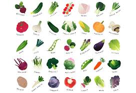 list of vegetables names for kids with