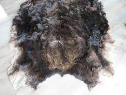 moose taxidermy blanket rug o