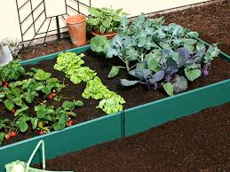 Raised Bed Kit 3m X 2m 250mm High