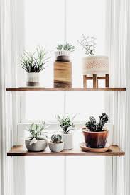 Plant Filled Kitchen Window Ideas