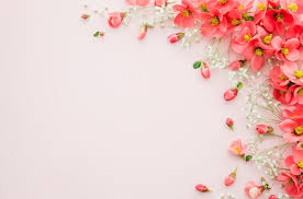 flower background images free