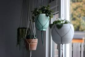 7 ways of hanging plants from a ceiling