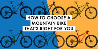 how to choose a mountain bike bikes