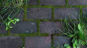 2 Trick Removes Moss From Paving Stones