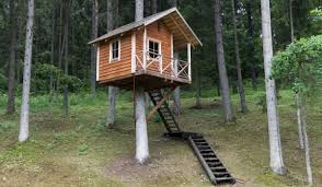 all about tree house designs housing news