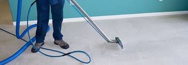 carpet cleaning reviews wichita ks