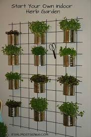 indoor herb garden indoor vegetable