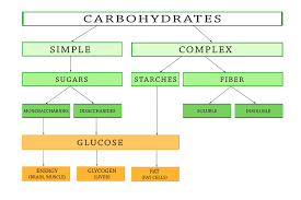 Carbohydrates For Weight Loss Make The Right Choices