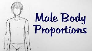 to draw manga male body proportions