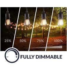 Newhouse Lighting Outdoor Indoor 48 Ft Plug In S14 Bulb Led String Light With Wireless 265w Dimmer Remote Control And Extra Bulb Black Cstringleddim The Home Depot