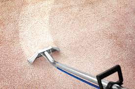 delaware carpet cleaning restoration