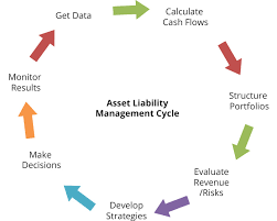 Asset Liability Management Eurorisk Systems Ltd