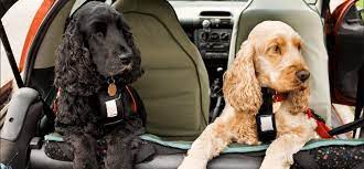 Best Dog Car Seat Pet Better With Pet