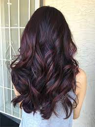 Delivering radiance, shine and depth in the sweep of a tinting brush. Mahogany Violet Hair Color Images