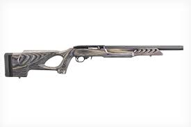 best ruger 10 22 s for hunting