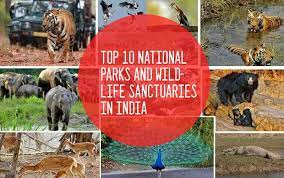 wildlife sanctuaries in india