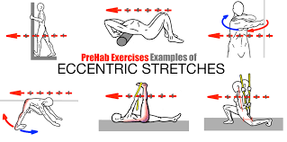 the art of stretching prehab exercises