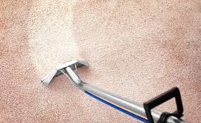 progreen carpet cleaning