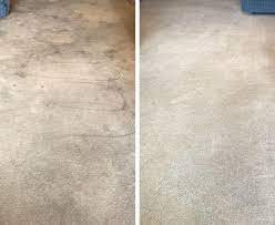 crystal clean flooring