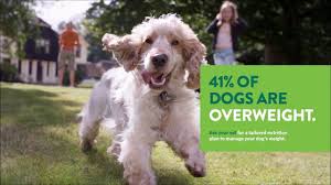It offers three major types of pet insurance policies, accident, accident and illness, and wellness care. Healthy Pets Plus Savings On The Best Health Care Greencross Vets