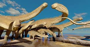 Museum Dinosaur Coast Management Group