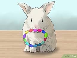 I like to put a little extra work in to make chew toys that will double as puzzle toys, though. 3 Ways To Make Homemade Rabbit Toys Wikihow