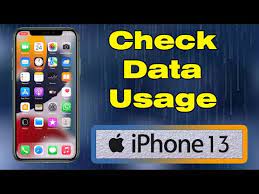 how to check data usage on iphone 13