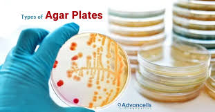 types of ready to use agar plates