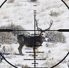 Reticles Turrets For Stretching Your Ethical Range