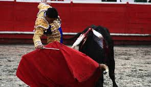 Toros en San Juan de Rioseco Este sábado habrá corrida de toros en San Juan  de Rioseco : Este sábado habrá corrida de toros en San Juan de Rioseco