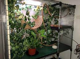 Diy chameleon cage drainage system. Our Attempt At A Diy Chameleon Enclosure Chameleon Forums
