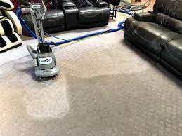 professional carpet cleaning in olympia
