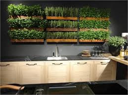 20 Indoor Kitchen Garden Ideas Herb